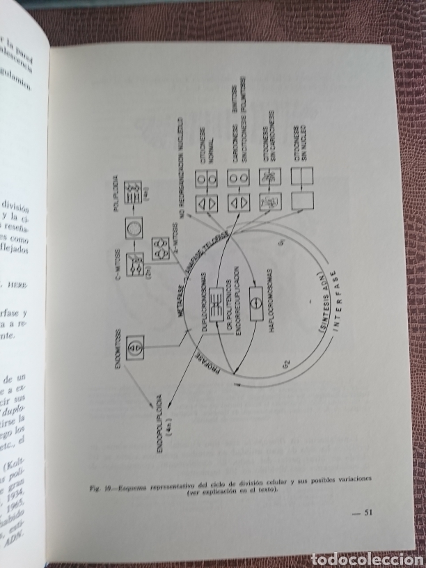 Libros de segunda mano: Gen&eacute;tica - Foto 7