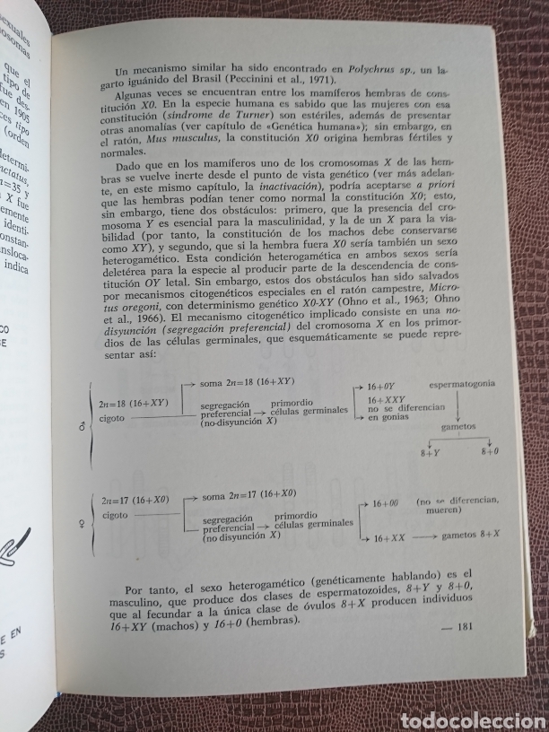 Libros de segunda mano: Gen&eacute;tica - Foto 8