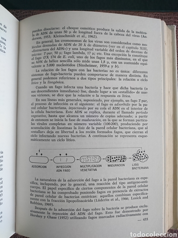 Libros de segunda mano: Gen&eacute;tica - Foto 11