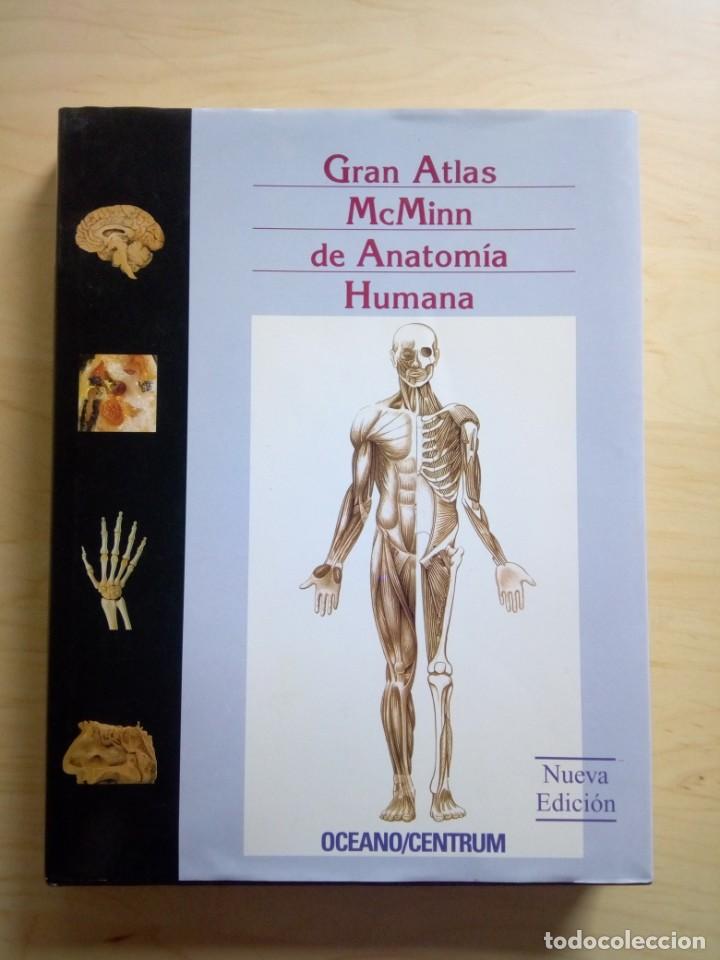 Libros de segunda mano: GRAN ATLAS MCMINN DE ANATOMÍA HUMANA - Foto 1 - 201199855