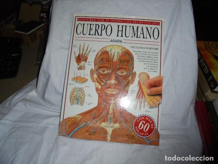 Libros de segunda mano: DESCUBRE POR TI MISMO LOS SECRETOS DEL CUERPO HUMANO.EDITORIAL ANAYA1999.-3&ordf; EDICION