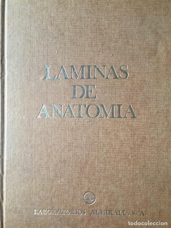 Libros de segunda mano: L&aacute;minas de anatom&iacute;a. Almirall 1975 - Foto 1