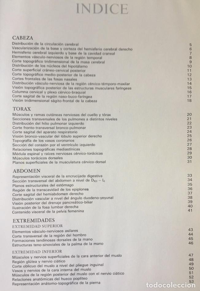 Libros de segunda mano: L&aacute;minas de anatom&iacute;a. Almirall 1975 - Foto 2