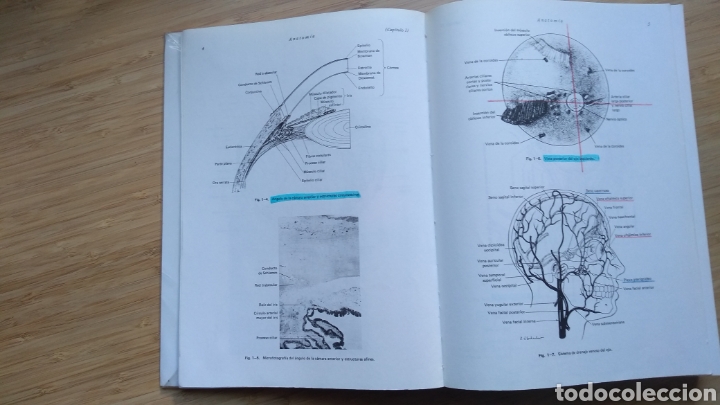 Libros de segunda mano: Oftalmolog&iacute;a general - Daniel Vaughan y Taylor Asbury - Foto 3