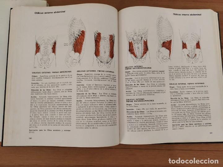 Libros de segunda mano: MUSCULOS PRUEBAS Y FUNCIONES KENDALL EDITORIAL JIMS - Foto 6