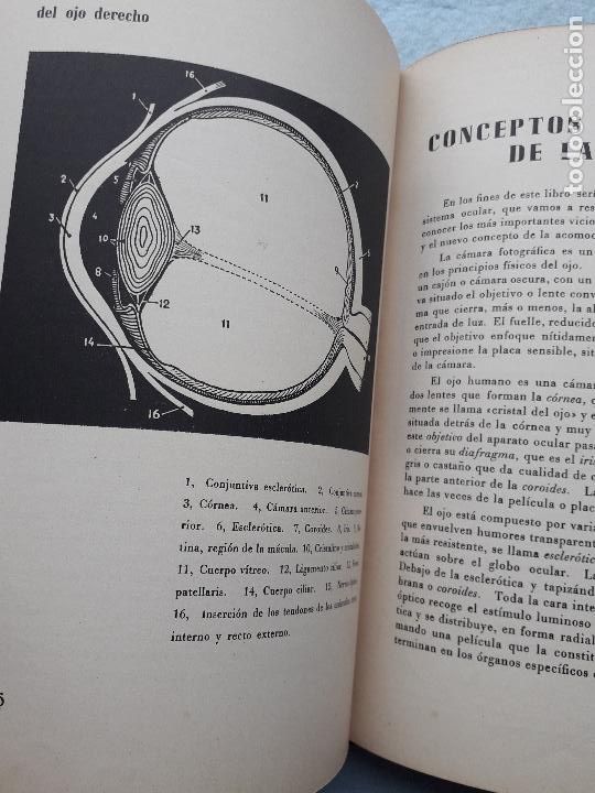 Libros de segunda mano: C&oacute;mo se Recupera la Visi&oacute;n Normal. J. de S&acute;Agar&oacute;. - Foto 6