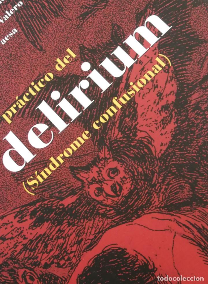 Libros de segunda mano: Abordaje pr&aacute;ctico del delirium. (S&iacute;ndrome confusional) - Foto 1