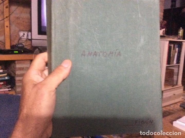 Second hand books: Anatom&iacute;a odontol&oacute;gica funcional y aplicada Eduardo figun rodolfo garino fotocopiado