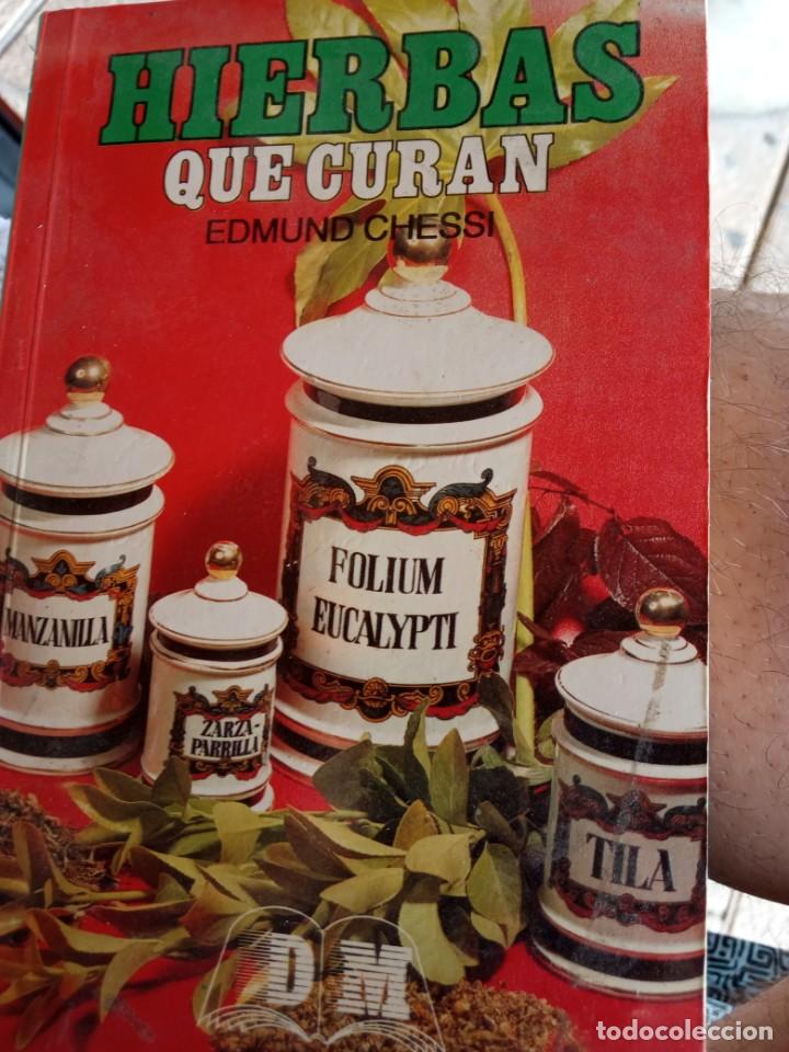 Libros de segunda mano: Hierbas que curan. Edmud Chessi - Foto 1