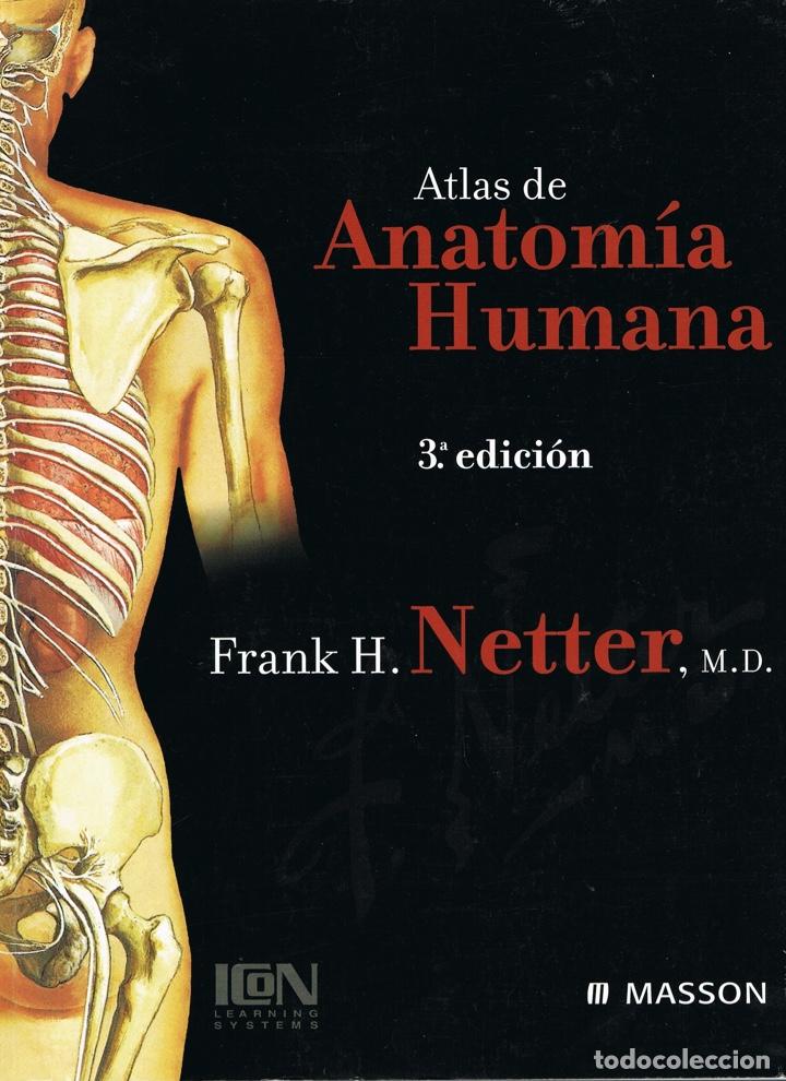 Нейро книги. Фрэнк Неттер. Атлас по анатомии Фрэнк Неттер. Фрэнк Неттер колено.