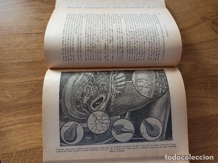 Libros de segunda mano: DR. VANDER GUIA DEL PROBLEMA SEXUAL - Foto 13