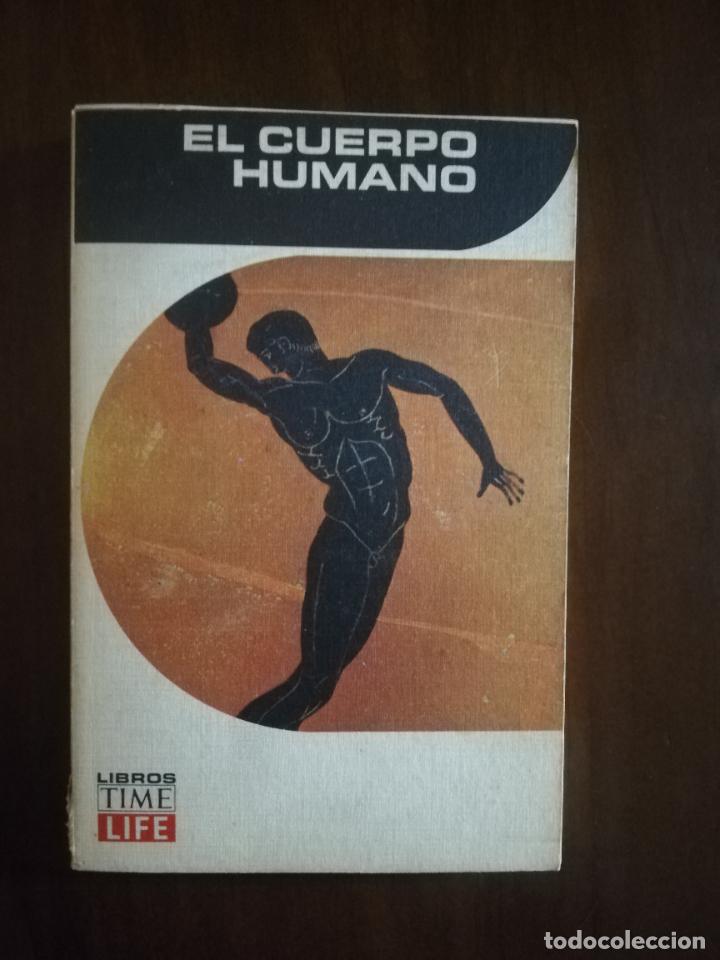 Libros de segunda mano: EL CUERPO HUMANO. ALAN E. NOURSE. LIBROS DE BOLSILLO TIME-LIFE. 1969. - Foto 1