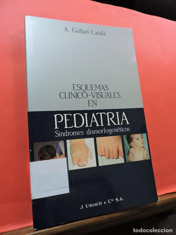 Libri di seconda mano: Esquemas cl&iacute;nico-visuales en pediatr&iacute;a. S&iacute;ndromes dismorfogen&eacute;ticos. GALLART CATAL&Aacute;, A. 1992.