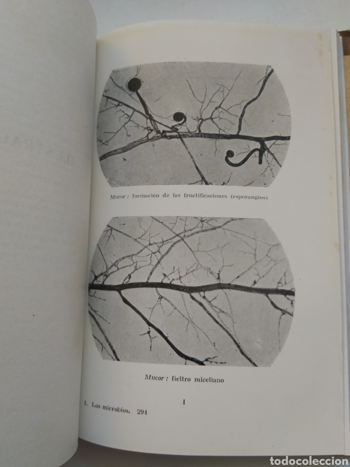 Libros de segunda mano: LOS MICROBIOS/P.G. CHARPENTIER - Foto 3