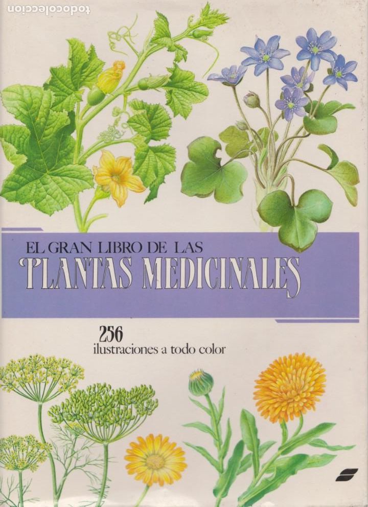 Libros de segunda mano: EL GRAN LIBRO DE LAS PLANTAS MEDICIONALES - CON 256 ILUSTRACIONES A TODOCOLOR