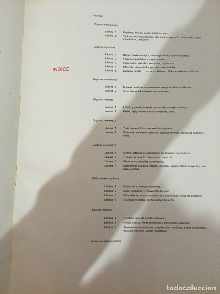Libros de segunda mano: Histolog&iacute;a pl&aacute;stica. Roman Hippeli 1967 - Foto 4