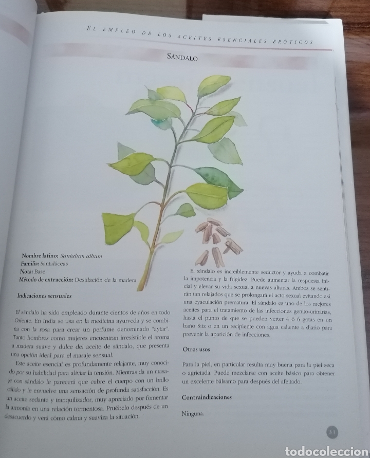 Libros de segunda mano: MASAJE SENSUAL. INTRODUCCI&Oacute;N PR&Aacute;CTICA. DENISE WHICHELLO BROWN. - Foto 3