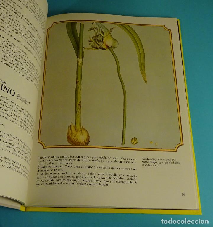 Libros de segunda mano: ENCICLOPEDIA DE LAS HIERBAS. C&Iacute;RCULO DE LECTORES - Foto 2