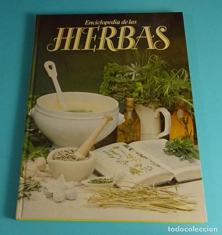 Libros de segunda mano: ENCICLOPEDIA DE LAS HIERBAS. C&Iacute;RCULO DE LECTORES - Foto 1