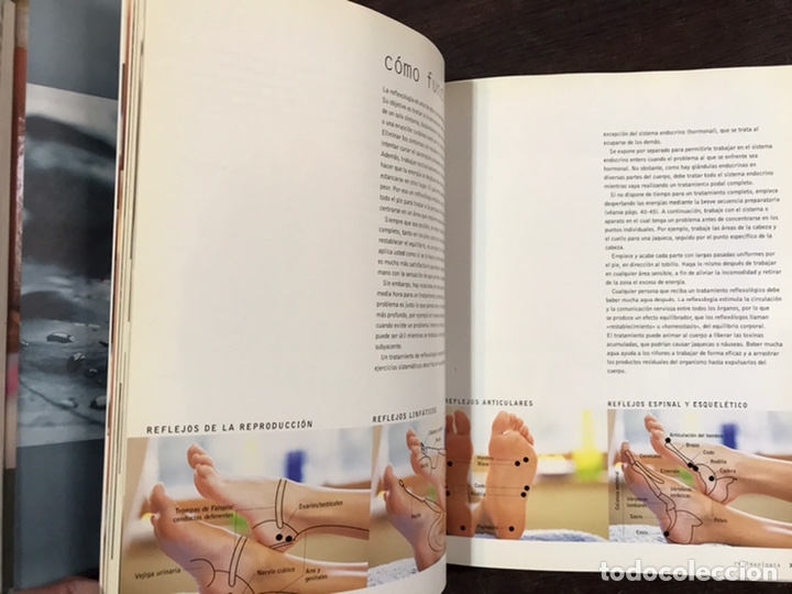 Libros de segunda mano: Reflexolog&iacute;a y digitopuntura. Janet Wright - Foto 4