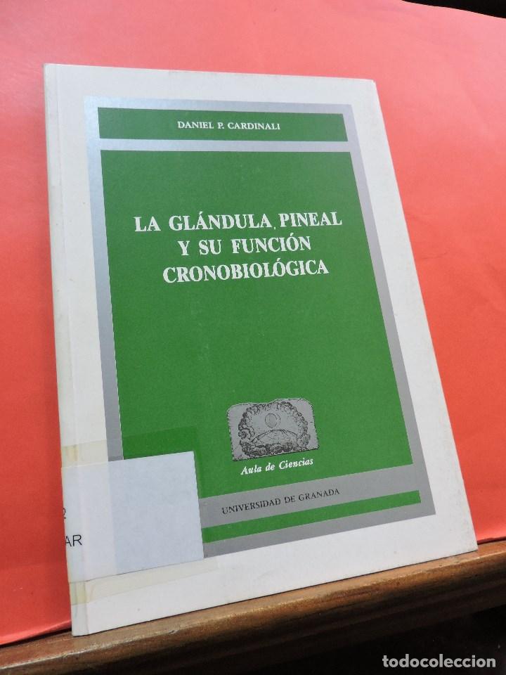 Libri di seconda mano: La gl&aacute;ndula pineal y su funci&oacute;n cronobiol&oacute;gica. CARDINALI, Daniel P. Universidad Granada
