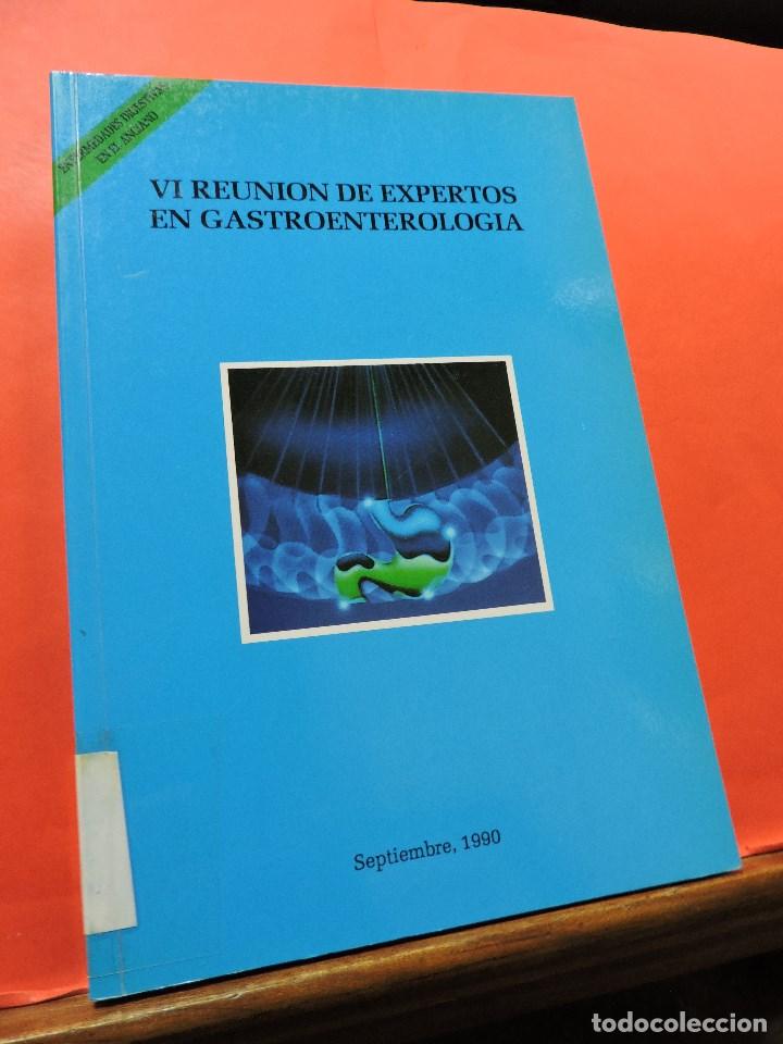 Libri di seconda mano: VI Reuni&oacute;n de expertos en Gastroenterolog&iacute;a. Enfermedades digestivas del anciano. Septiembre 1990