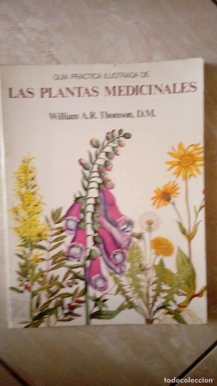 Libros de segunda mano: GUIA PRACTICA ILUSTRADA DE LAS PLANTAS MEDICINALES - ESPECTACULAR - L2
