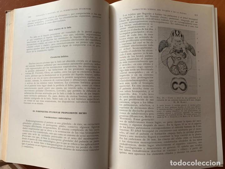 Libros de segunda mano: Medicina Patolog&iacute;a general - Foto 4