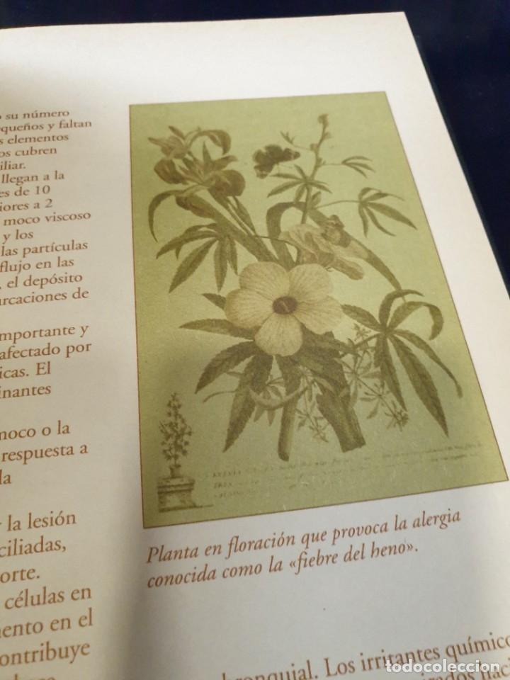 Libros de segunda mano: medicina natural, ediciones Rueda - Foto 1