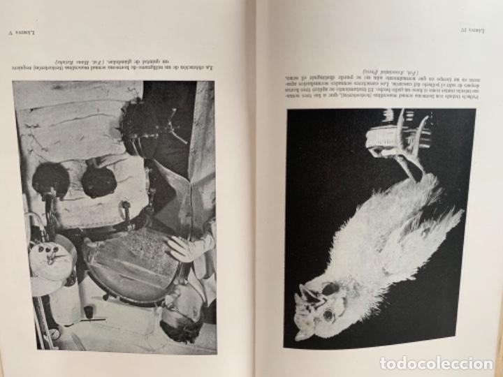 Libros de segunda mano: El&iacute;xires de vida (Bols, 2) - Foto 7