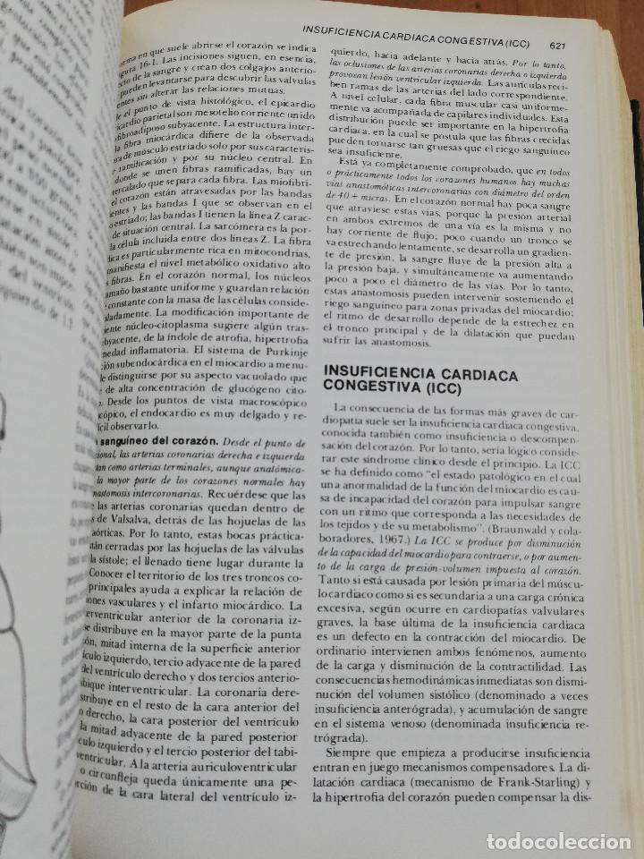 Libros de segunda mano: PATOLOG&Iacute;A ESTRUCTURAL Y FUNCIONAL (DR. STANLEY L. ROBBINS) - Foto 9