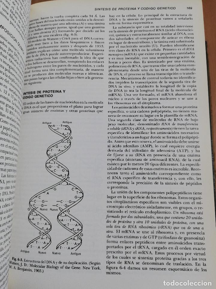 Libros de segunda mano: PATOLOG&Iacute;A ESTRUCTURAL Y FUNCIONAL (DR. STANLEY L. ROBBINS) - Foto 17