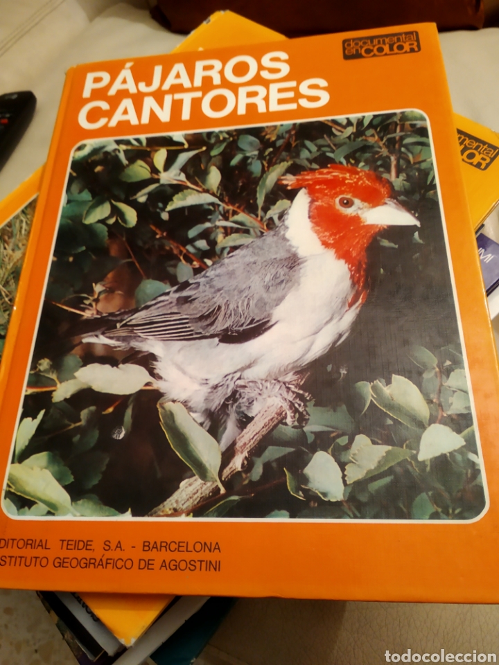 Libros de segunda mano: Pajaros cantores - Foto 3