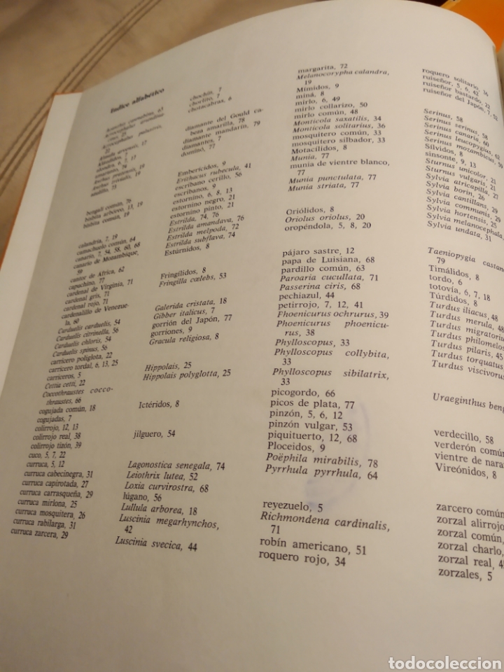 Libros de segunda mano: Pajaros cantores - Foto 1