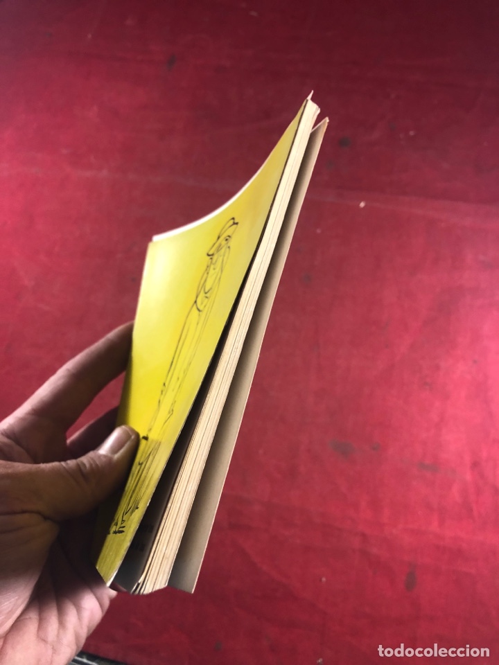 Libros de segunda mano: DELIRIUM VACATIONUM PROFESOR CHAVAL - Foto 5