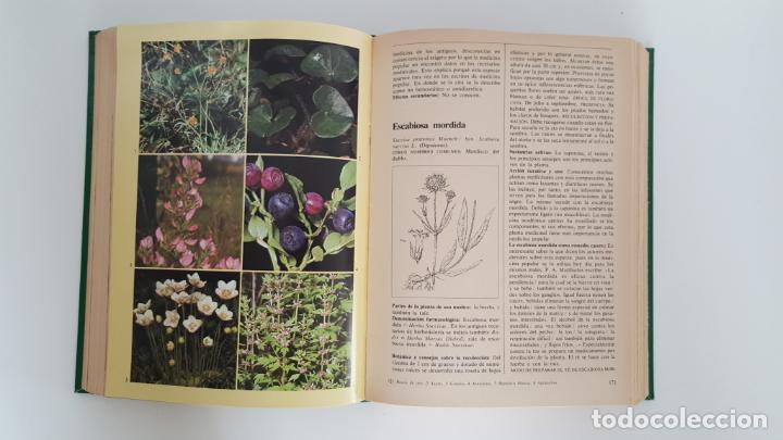 Libros de segunda mano: EL GRAN LIBRO DE LAS PLANTAS MEDICINALES - Foto 2