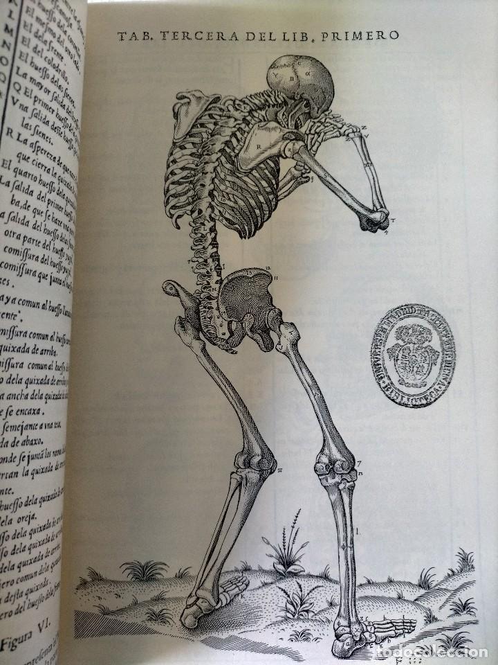 Libros de segunda mano: HISTORIA DE LA COMPOSICION DEL CUERPO HUMANO - Foto 4