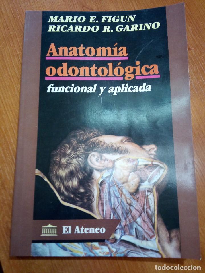 ANATOMIA ODONTOLOGICA