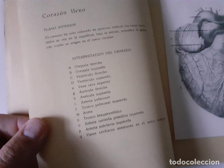 Libros de segunda mano: ESTRUCTURA DEL CORAZON. J. M. BOURGERY - Foto 3