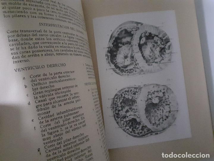 Libros de segunda mano: ESTRUCTURA DEL CORAZON. J. M. BOURGERY - Foto 4
