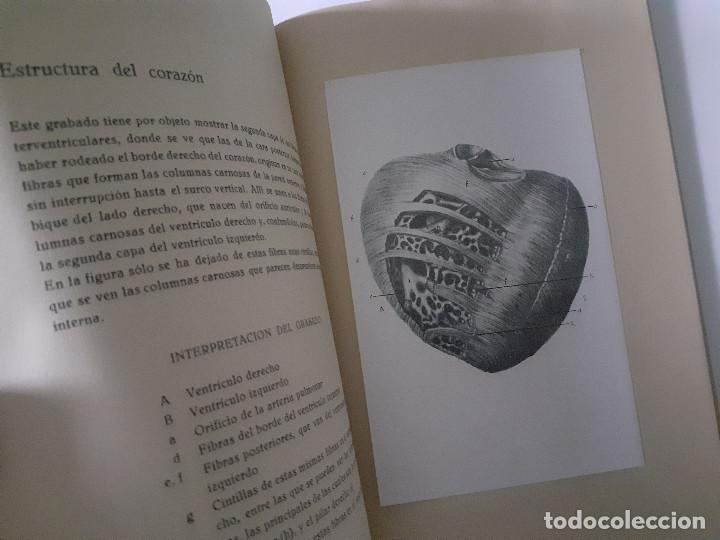 Libros de segunda mano: ESTRUCTURA DEL CORAZON. J. M. BOURGERY - Foto 6