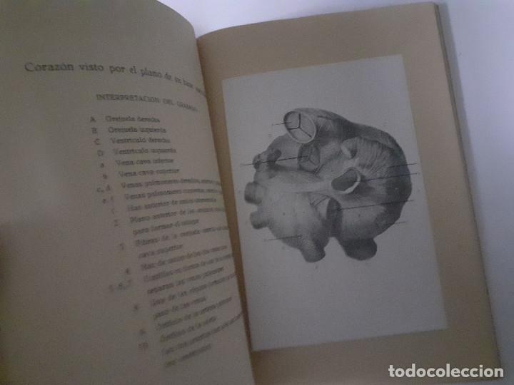 Libros de segunda mano: ESTRUCTURA DEL CORAZON. J. M. BOURGERY - Foto 7