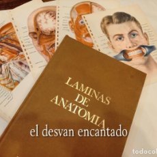 Libros de segunda mano: LAMINAS DE ANATOMIA. LABORATORIOS ALMIRALL SA. BARCELONA. INCLUYE LÁMINAS PFIZER. Lote 259862925