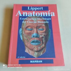 Libros de segunda mano: ANATOMIA ESTRUCTURA Y MORFOLOGIA DEL CUERPO HUMANO. LIPPERT. 2000. 822 PAGS.