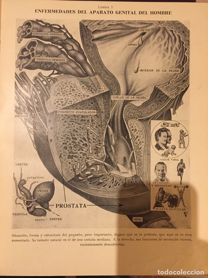 Libros de segunda mano: Medicina Natural Dr. Vander - Foto 8