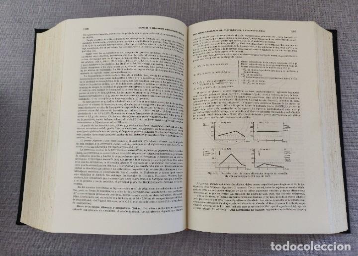 Libros de segunda mano: Libro Medicina Interna. - Foto 7