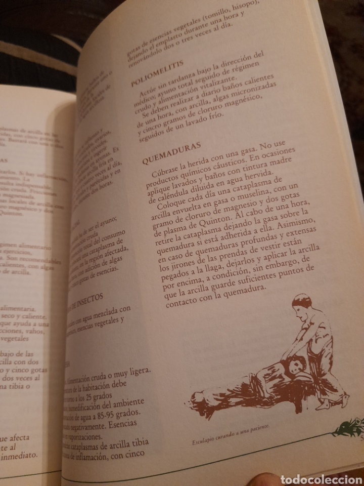 Libros de segunda mano: Las tierras medicinales - Foto 3