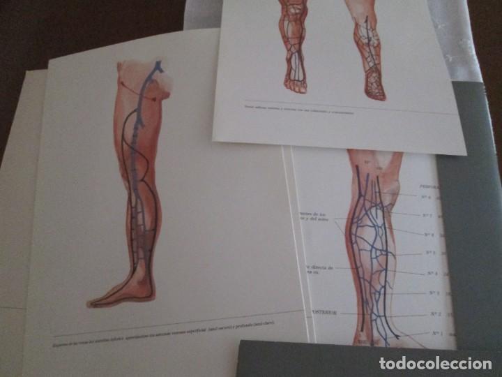 Libros de segunda mano: SISTEMA VENOSO - Foto 2