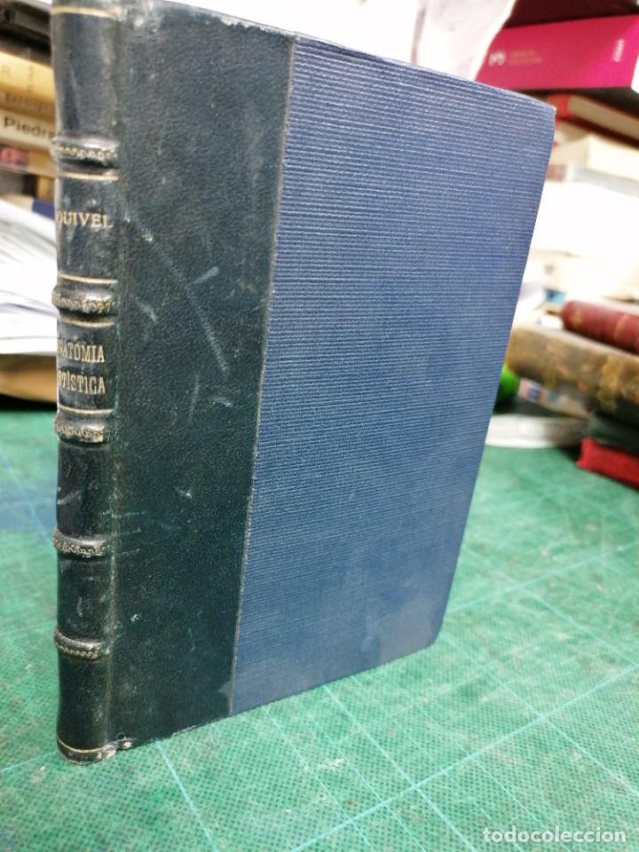 Libros de segunda mano: Elementos de anatom&iacute;a art&iacute;stica. Esquivel - Foto 2