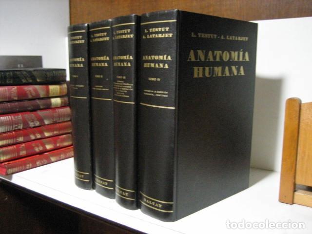 'anatomía Humana'. L. Testut Y A. Latarjet. 197 - Comprar Libros De ...